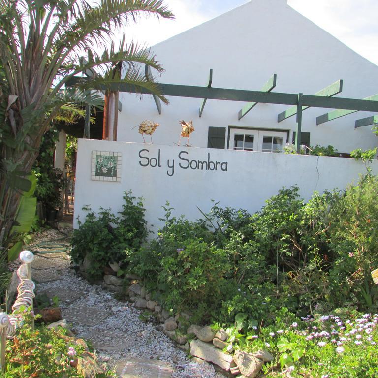 Sol Y Sombra Appartement Bettyʼs Bay Buitenkant foto